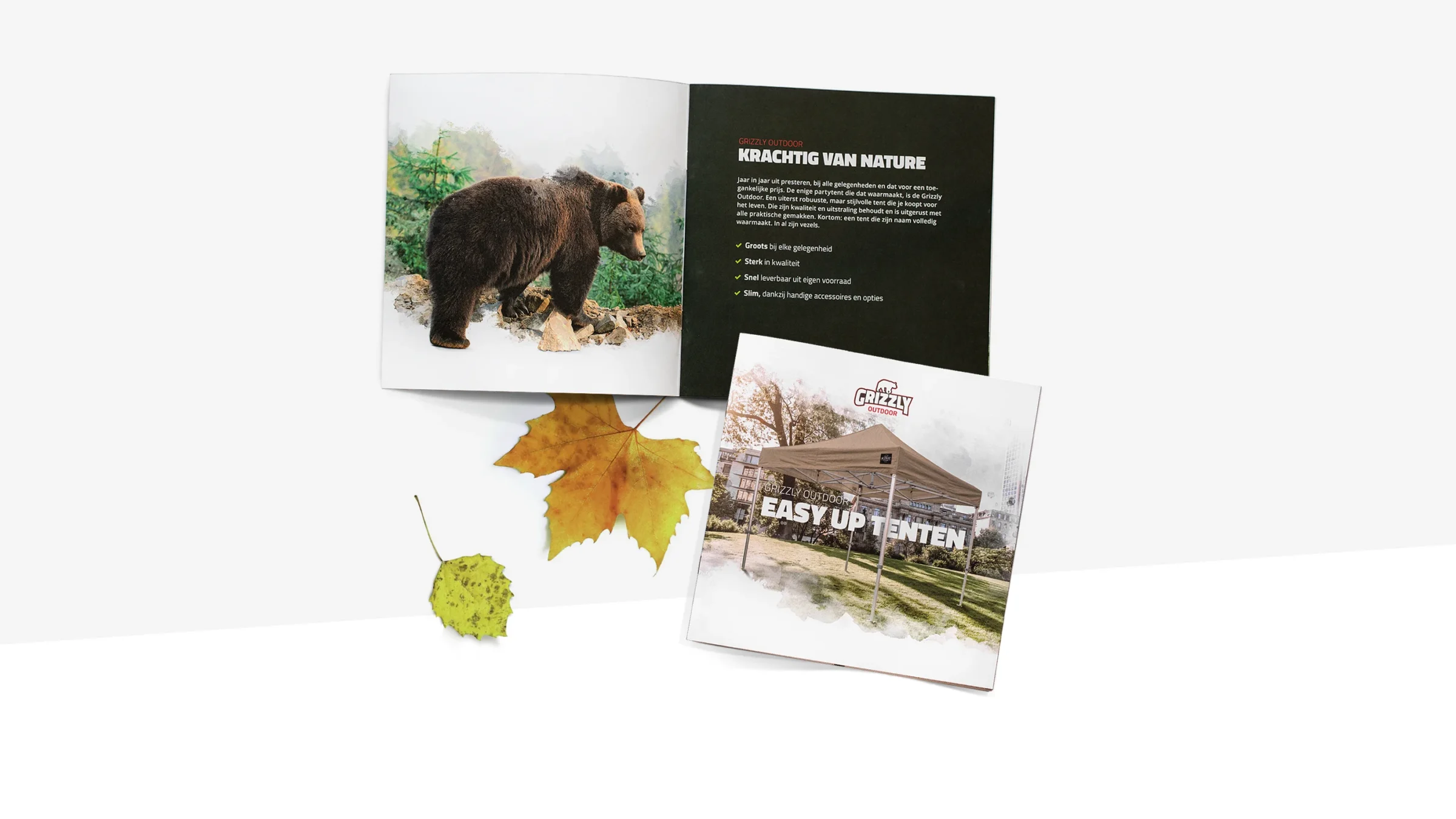 Tandem-Grizzly-brochure2